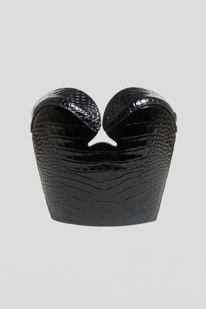 DeLauer2_BlackCroc_1