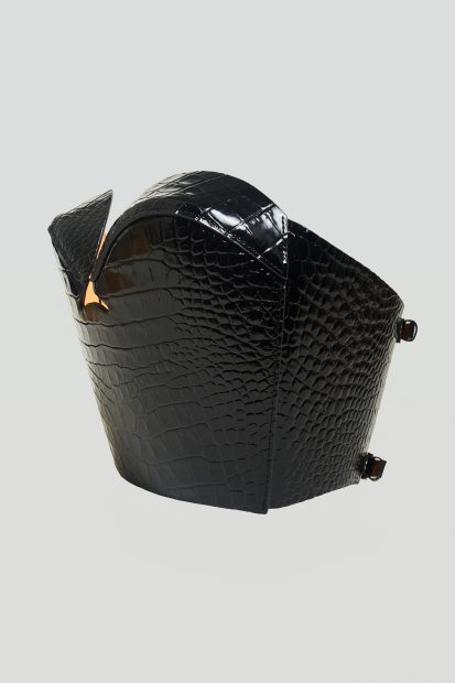 DeLauer2_BlackCroc_2