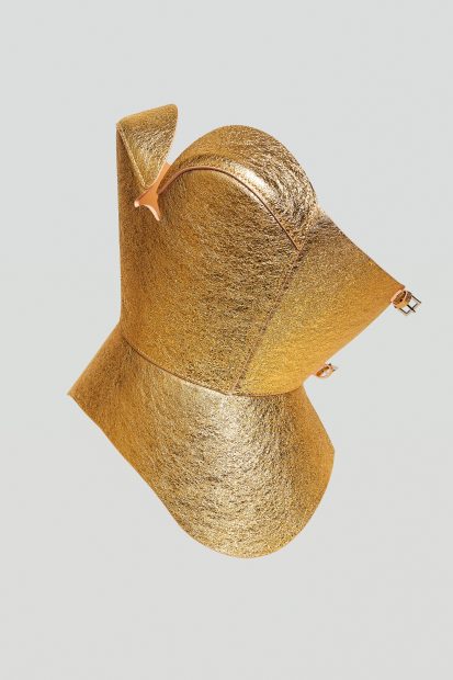 DeLauer_1_Gold_2