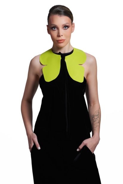 Argu <p> Lime leather collar