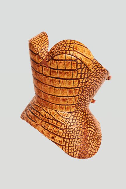 Nigma_brown_crocprof